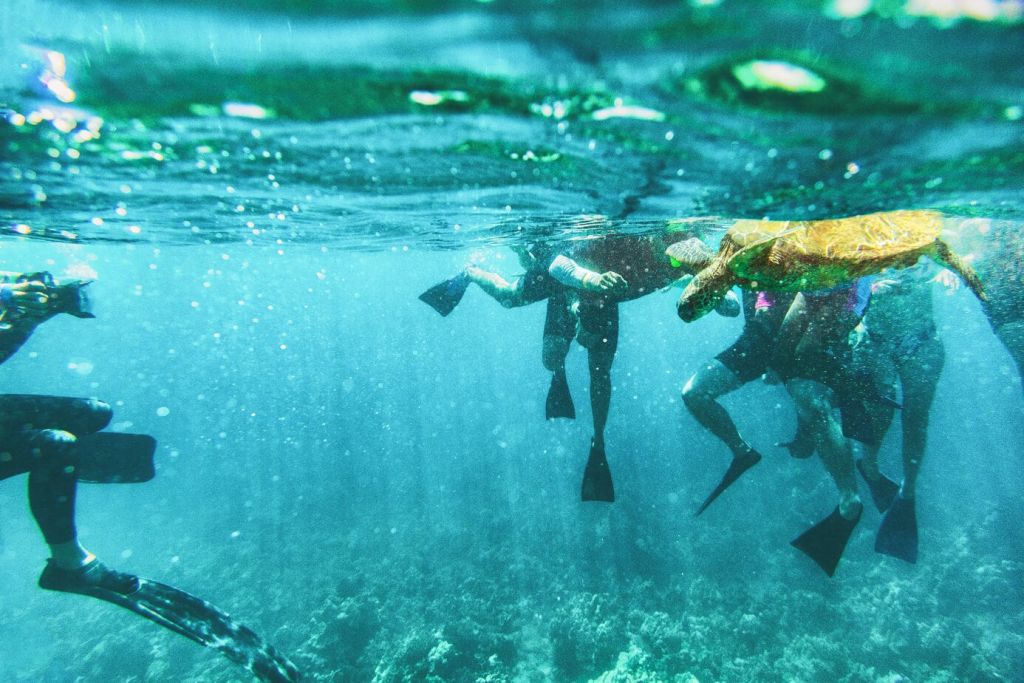 Caño Island Snorkeling Costa Rica