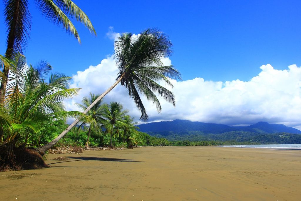 Marino Ballena National Park Uvita Costa Rica